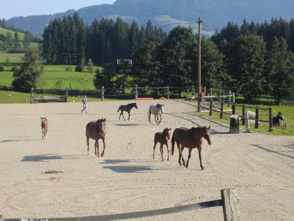 Weberhof Hopfgarten Hopfgarten im Brixental Esterno foto